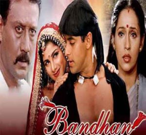 Top 10 Salman Khan Remake Movies bandhan movie facts